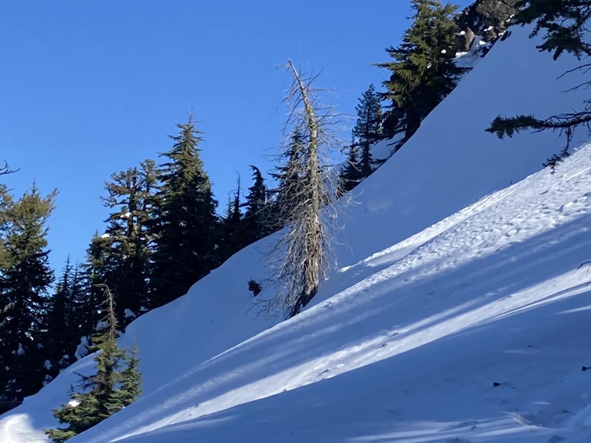 Slope next to recent avalanche that occurred on 2/3/21