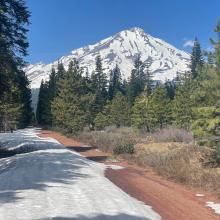 Brewer Creek road by Sugar Pine Butte