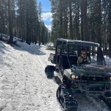 Brewer Creek road near 6,000 feet