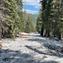 The 42N02 road, ~5,500 feet, just above Military Pass (19 road)