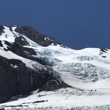 Holtum Glacier.