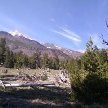 Northgate trail, just below treeline