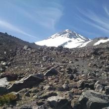 Looking up the final pitch of the hike to the high camp