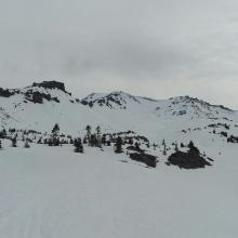 Avalanche Gulch viewed from treeline