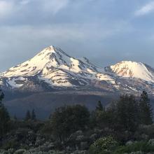Mount Shasta from the north side looking at the Bolum, Hotlum, and Whitney Glacier