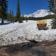 Bunny Flat Trailhead