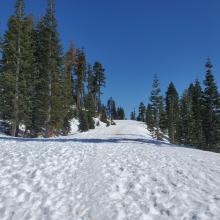 Road above the gate at Bunny Flat