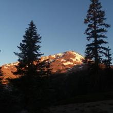 Mount Shasta alpine glow from trail below springs