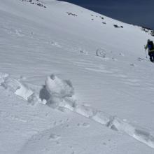 Pinwheels. An indicator of a warming snow surface and an increased chance of wet loose avalanche activity.