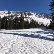 Sierra Alpine Hut (Horse Camp) view east towards Avalanche Gulch