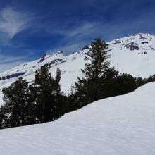 Mtn view from 8000'