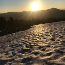 Frozen sun cups at 5am 8,000 feet