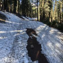 Drift blocking Brewer Creek road 5.11.21