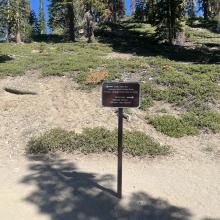 Trail Junction at Bunny Flat. Turn left for Horse Camp.
