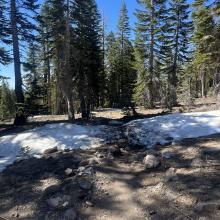 Snow drift on route. Walk on the snow, not in the off-trail vegetation. 