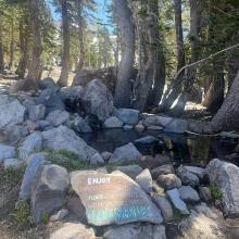 Freshwater spring at Horse Camp. Please no wading or washing here!