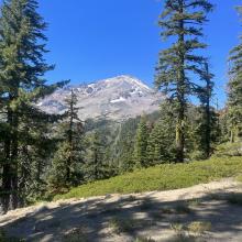 The Clear Creek route viewed before breaching treeline.