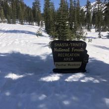 59 inches of snow at Lower Panther Meadow