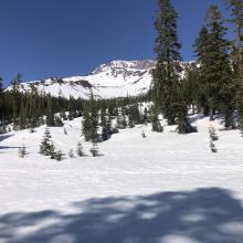 Powder Bowl