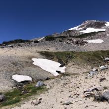 Spring at 8,600 feet. 