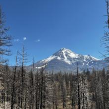 Mount Shasta A.K.A the Queen