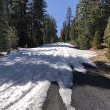 Looking uphill, 6.5 miles from the Forest Service boundary up HW 26 (South Fork Road) as of 4.13.2021