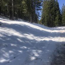 Looking uphill, 5.6 miles from 97, turned around here. Soft snow, poor traction even for 4x4