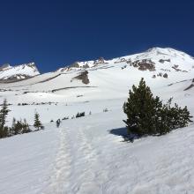 snow coverage as observed from meadow