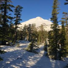 Nearing treeline