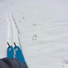 new snow at approx 10,000 feet