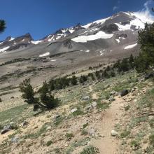 CC trail, near treeline, approaching the springs