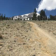 The clear creek trail below treeline