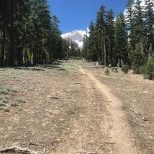 CC trail well below treeline. Slow and steady wins the race!