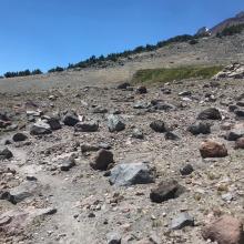 Just below the springs on the trail