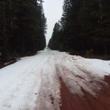 Brewer Creek road, 10.8 miles to trailhead on 4.15.18