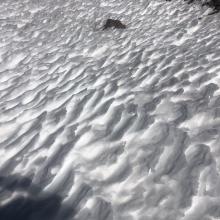 penitentes at 9,000 feet