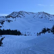 Old Avalanches in Avalanche Gully