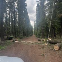 Be prepared to find fresh downed trees on FS roads.