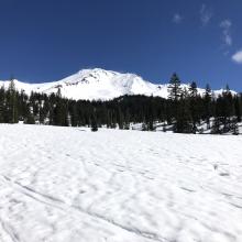 Looking up at Mount Shasta near Bunny Flat