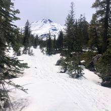 First continuous snow near treeline.