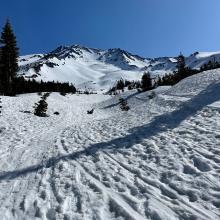 Avalanche Gulch from treeline