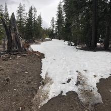 Northgate snow conditions at 6,400 feet