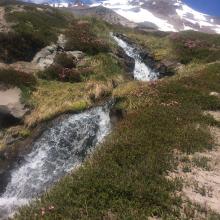 The Springs! - Still snow covered as of 5-7-2016