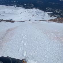 5-10cm of boot penetration in warm snow on the south aspect of Shastina at 12,000 feet.