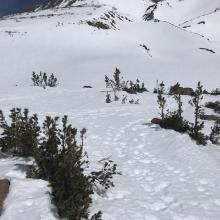 Still lots of snow covering camping spots