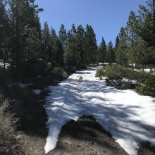 Snow on road