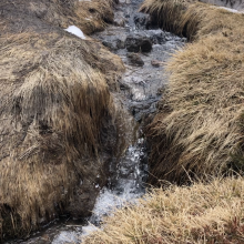 Clear Creek spring