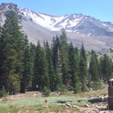 Avalanche Gulch (AG) from the trail to Horse Camp, 7/25