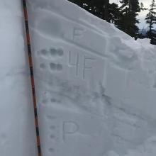 snowpack structure near treeline 