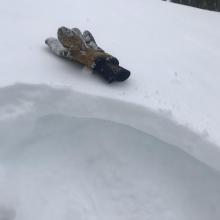 wind packed snow above softer snow. A common theme near and below treeline 